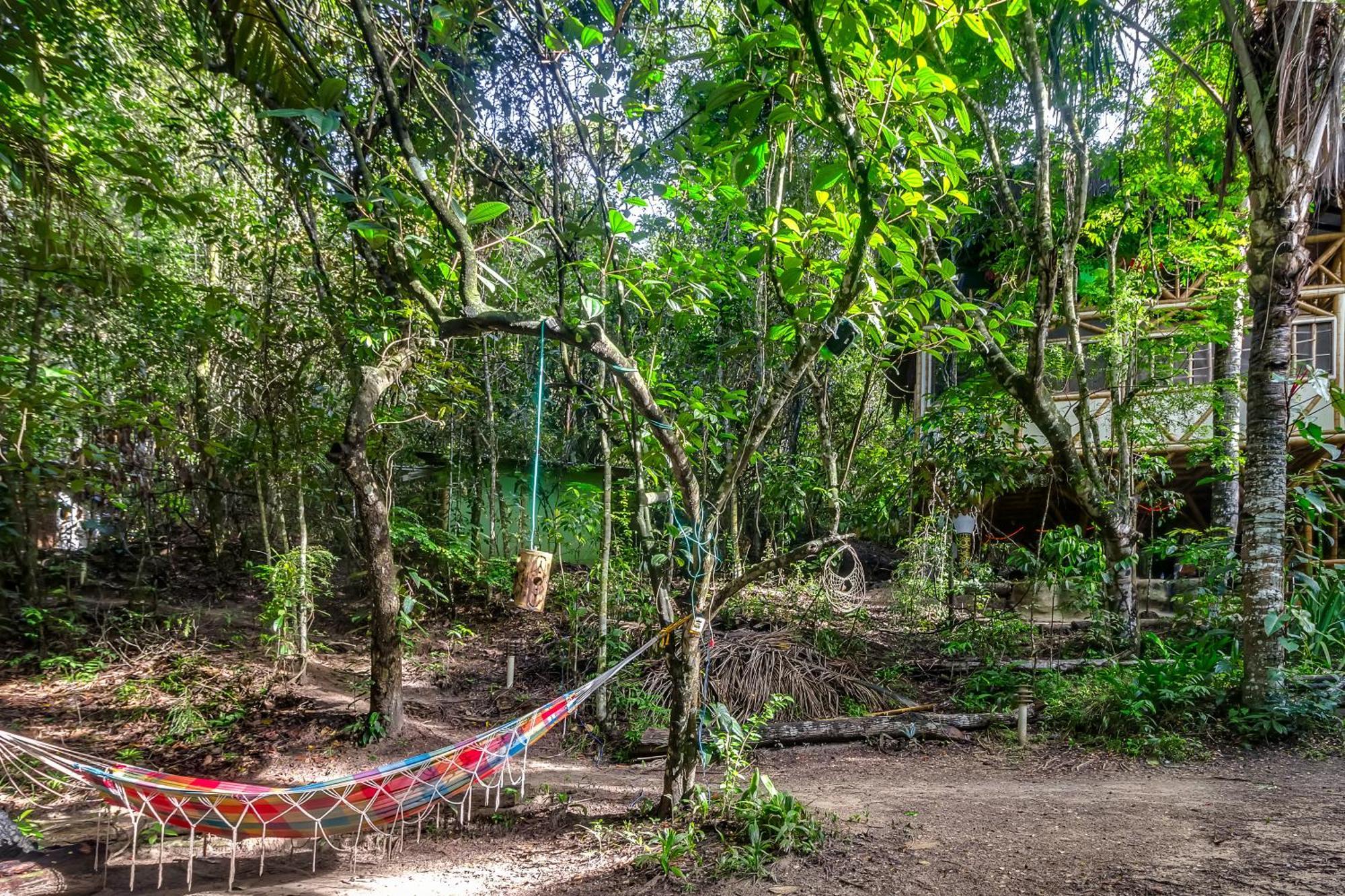 Universo Pol Bamboo Hostel Морро-де-Сан-Паулу Экстерьер фото