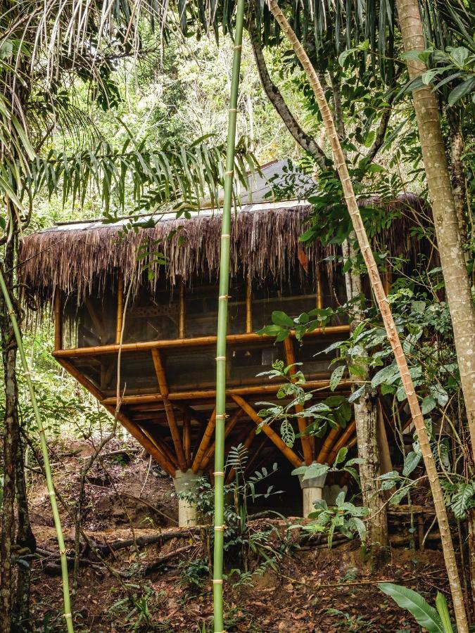 Universo Pol Bamboo Hostel Морро-де-Сан-Паулу Экстерьер фото